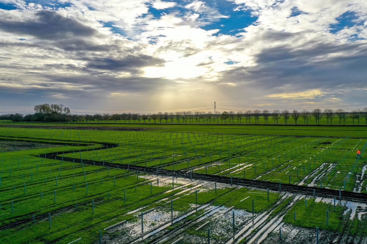 Klimaatfonds Nederland kiest voor KiesZon: ruim 150.000 zonnepanelen op 5 locaties